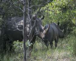 The natural land is the home to a number of wild species.